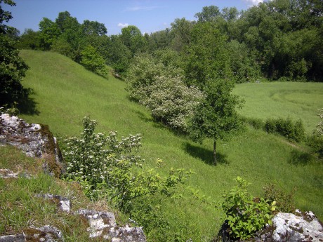 přírodní památka Kozlovská stráň